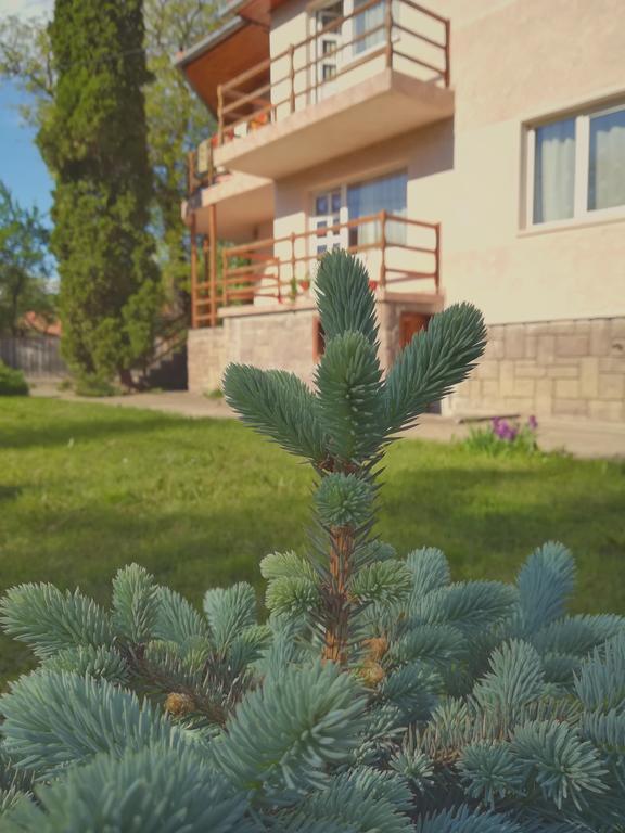 Pensiunea Apolka Panzió Covasna Exterior foto